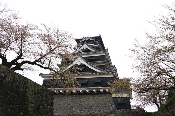 日本三大名城の一つ、熊本城
