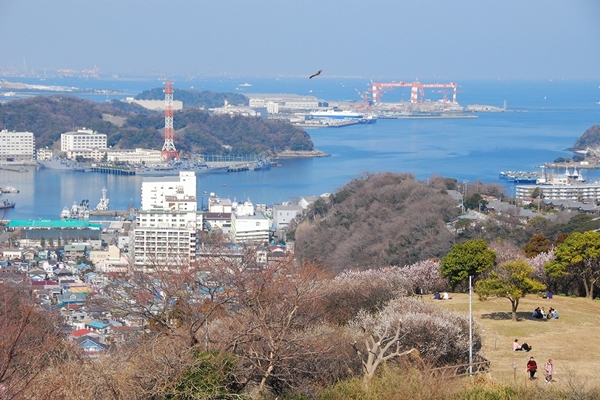 海・山・住居が近接する、横須賀ならではの風景