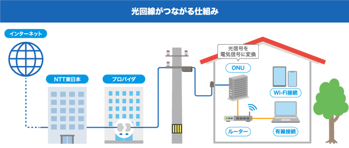 法人向け光回線とは