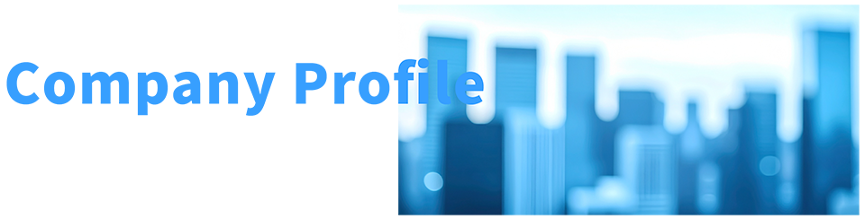 Business description 社会へ届ける価値