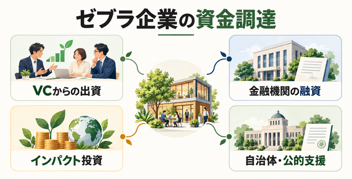 ゼブラ企業が活用できるVC出資・金融機関融資・インパクト投資・公的支援